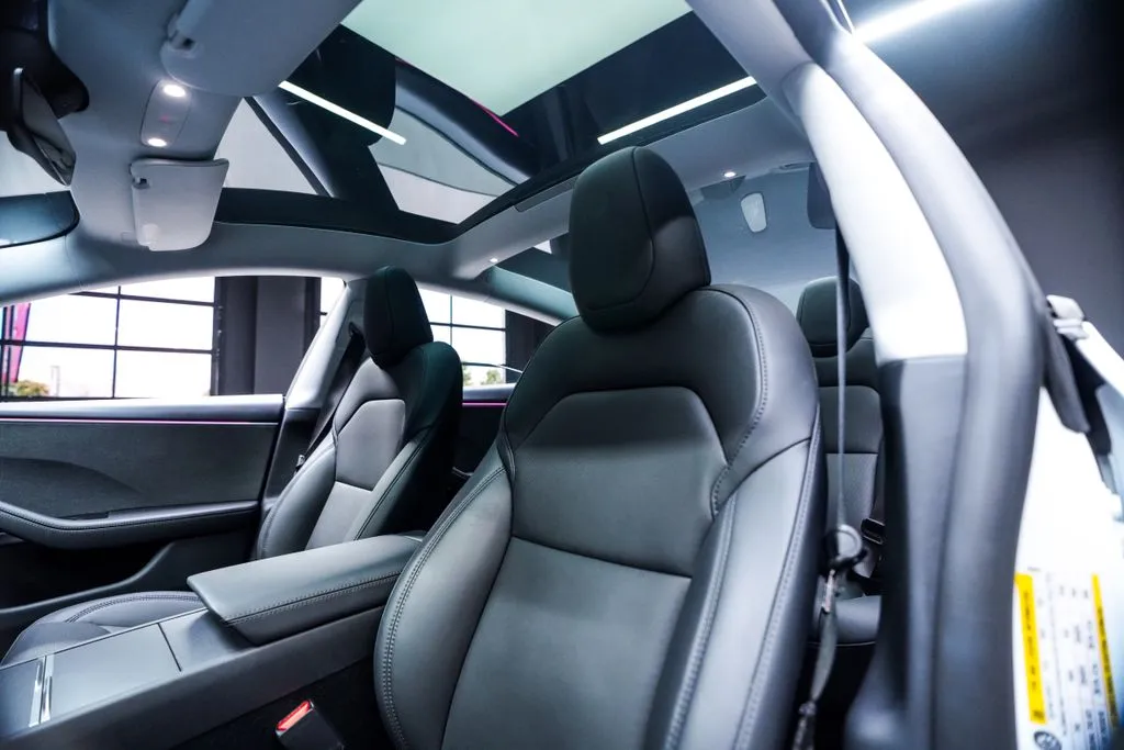 Tesla Model 3 photo 28
