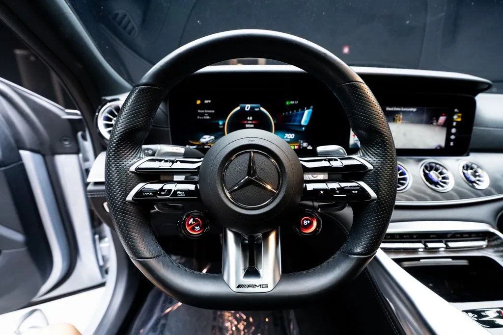 Mercedes-Benz AMG GT 43 photo 30