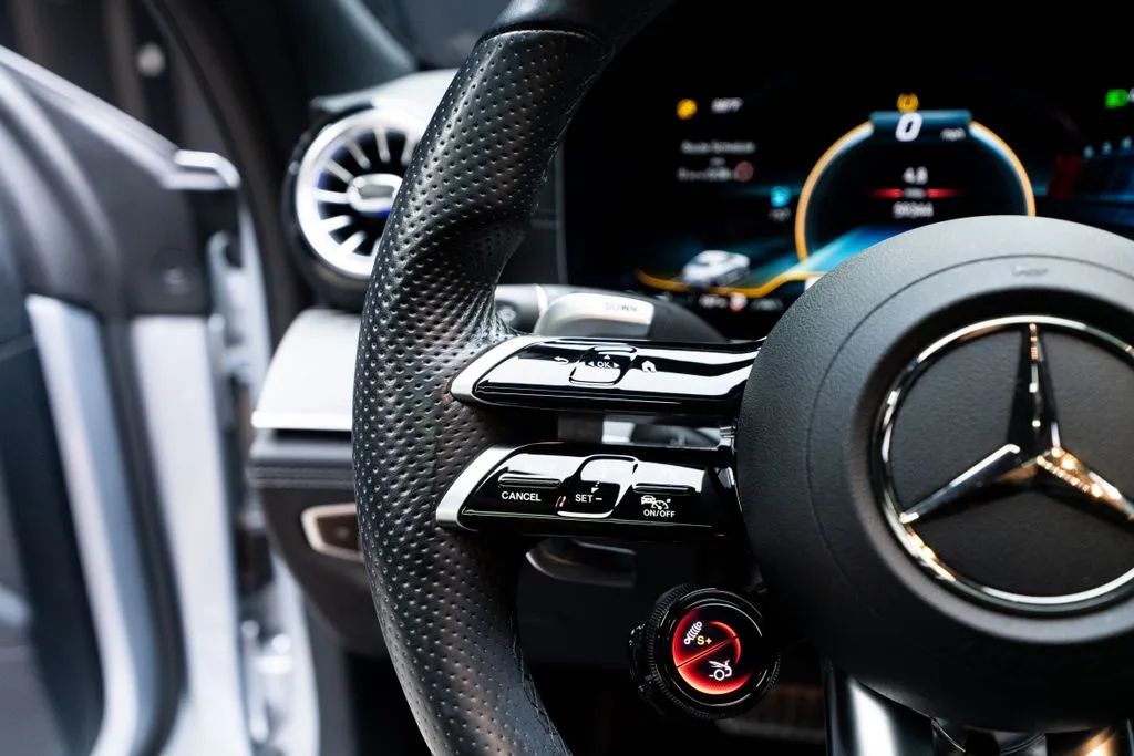 Mercedes-Benz AMG GT 43 photo 31