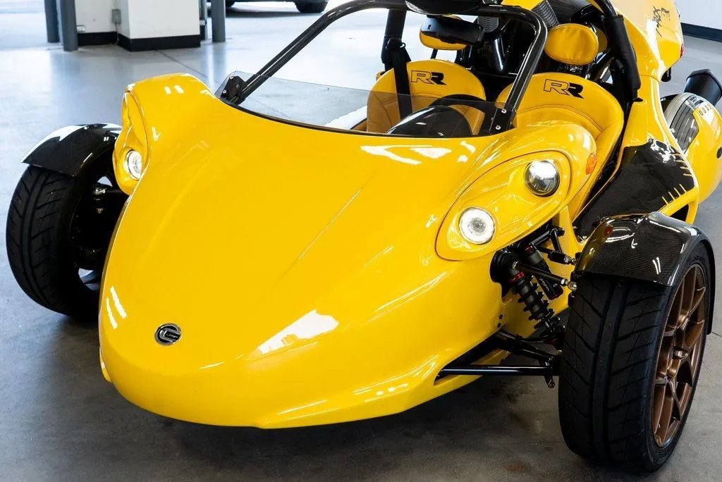 Campagna T-Rex photo 9