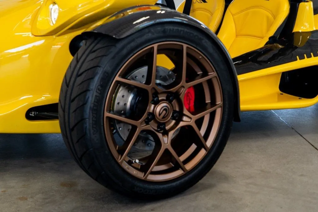Campagna T-Rex photo 11