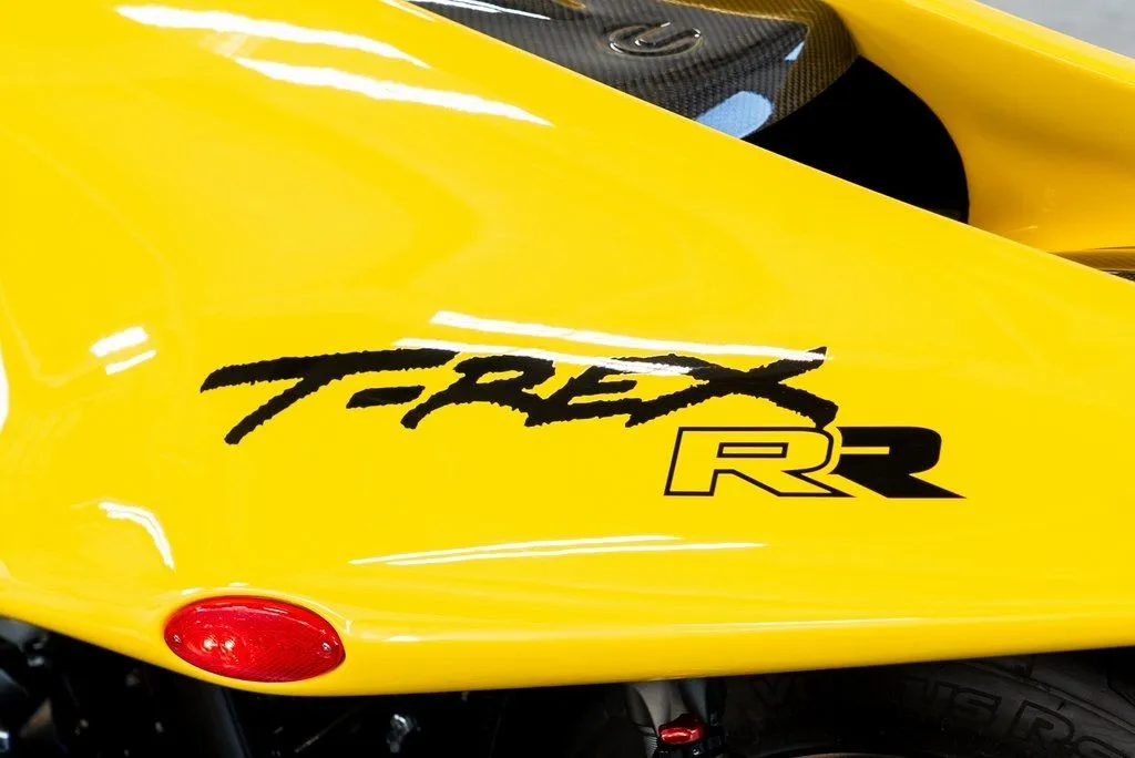 Campagna T-Rex photo 14