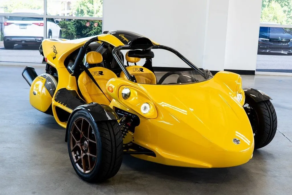 Campagna T-Rex photo 4