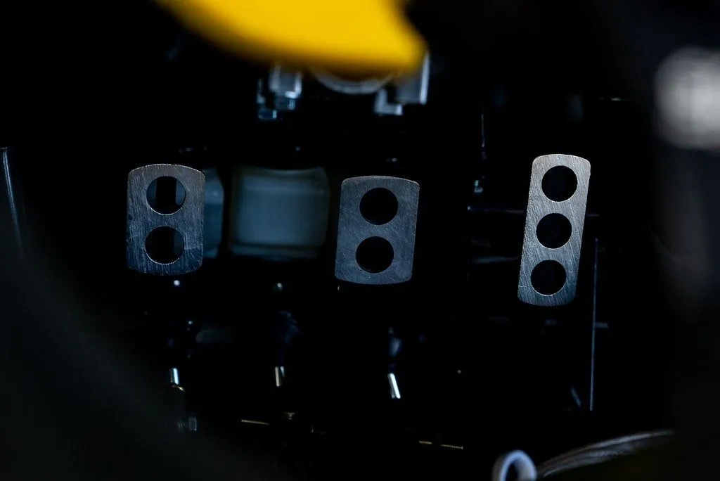 Campagna T-Rex photo 24