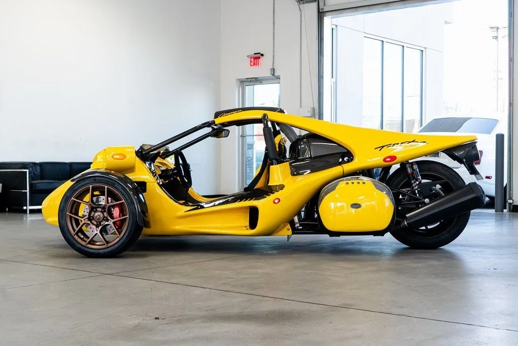 Campagna T-Rex photo 8