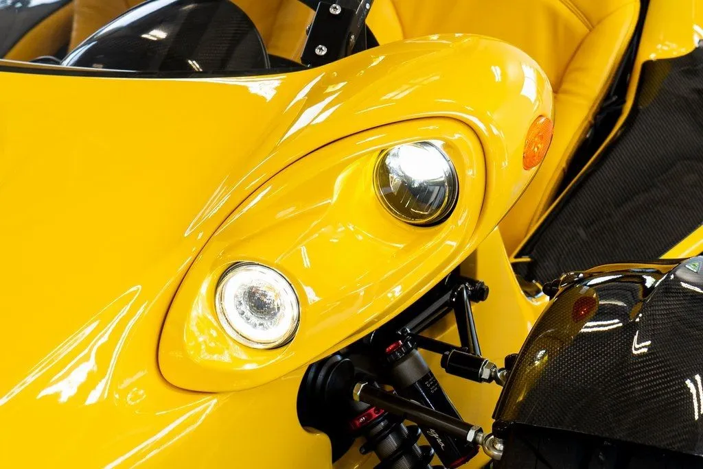 Campagna T-Rex photo 10