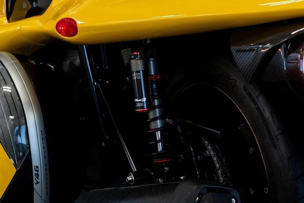 Campagna T-Rex photo 15