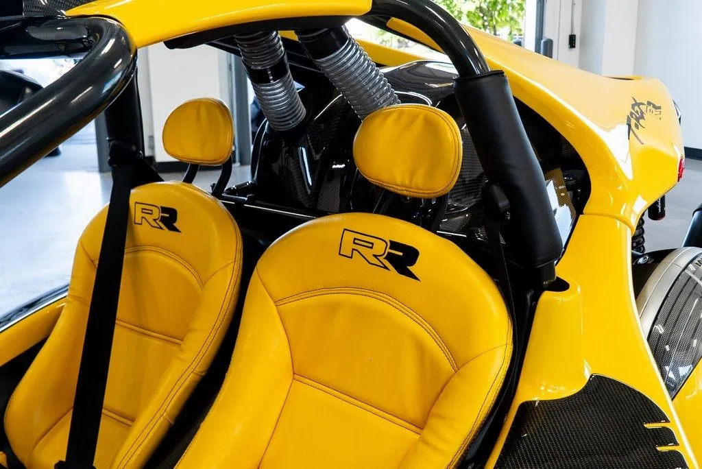 Campagna T-Rex photo 26
