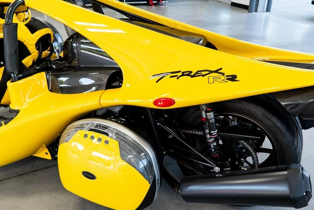 Campagna T-Rex photo 13