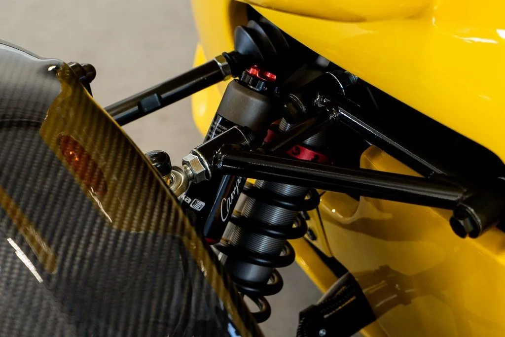 Campagna T-Rex photo 12