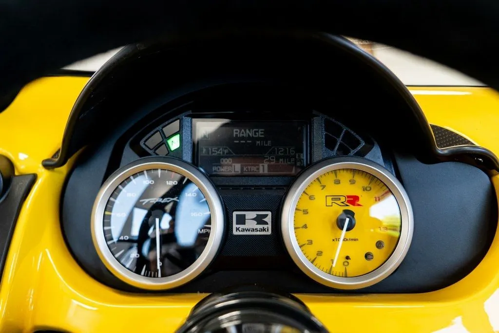 Campagna T-Rex photo 20