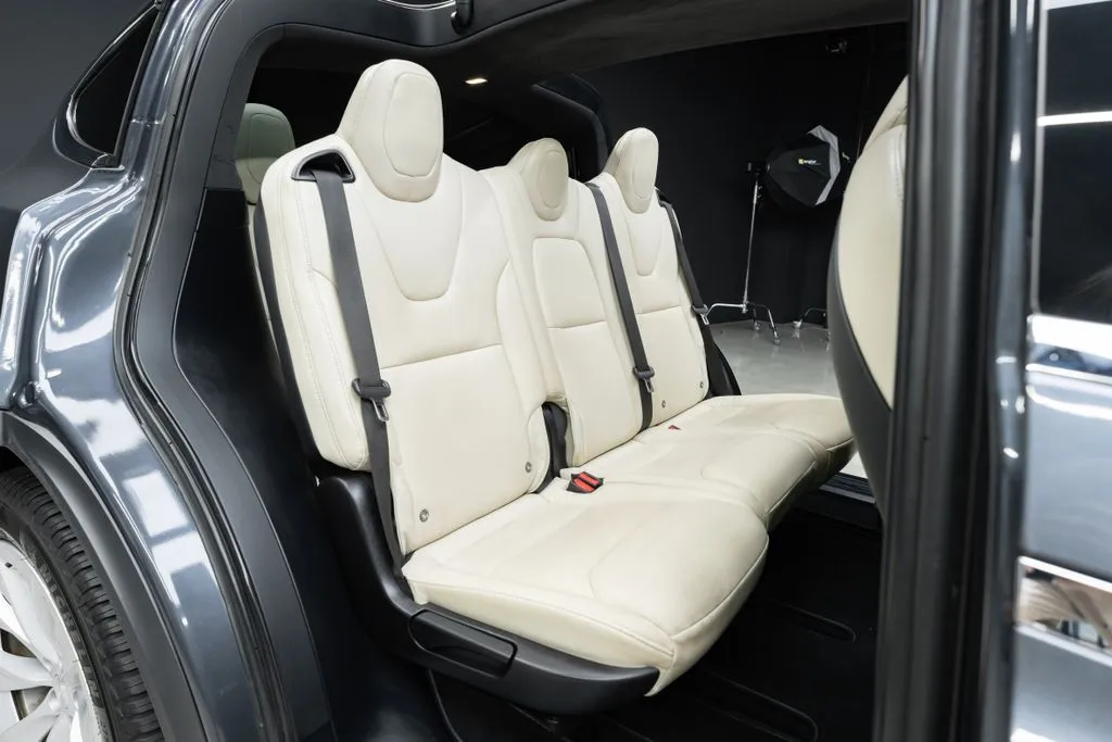 Tesla Model X photo 35