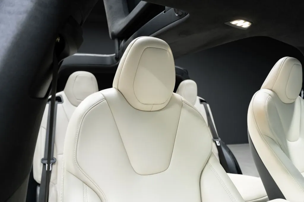 Tesla Model X photo 32