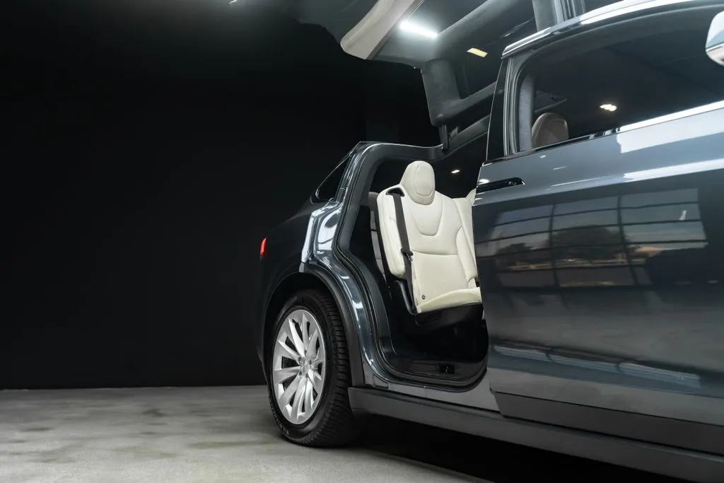 Tesla Model X photo 10