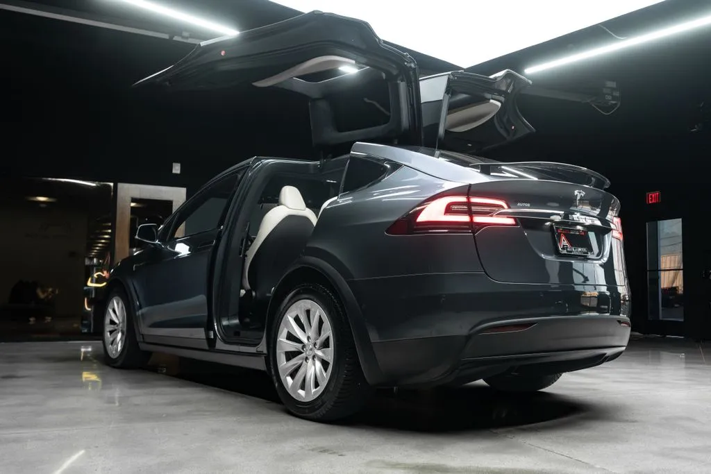 Tesla Model X photo 16