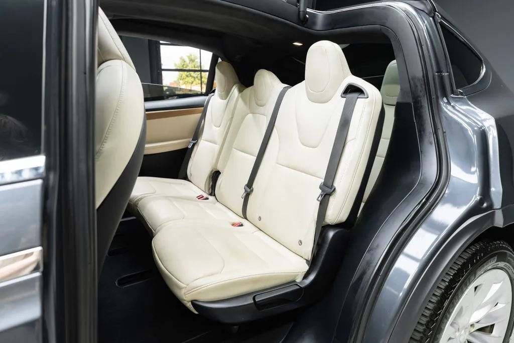 Tesla Model X photo 41