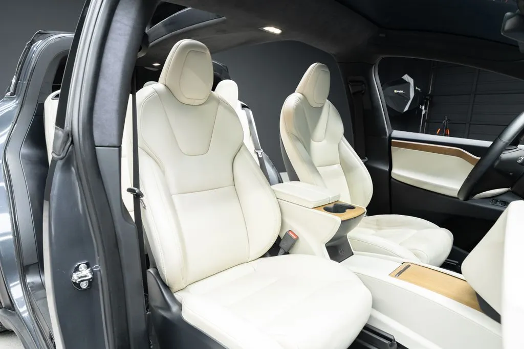 Tesla Model X photo 31