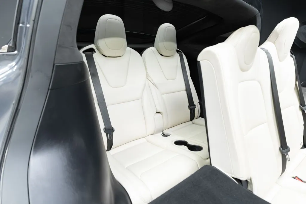 Tesla Model X photo 38