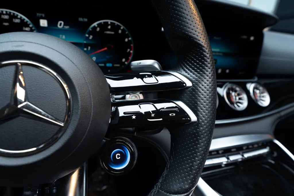 Mercedes-Benz AMG GT photo 29