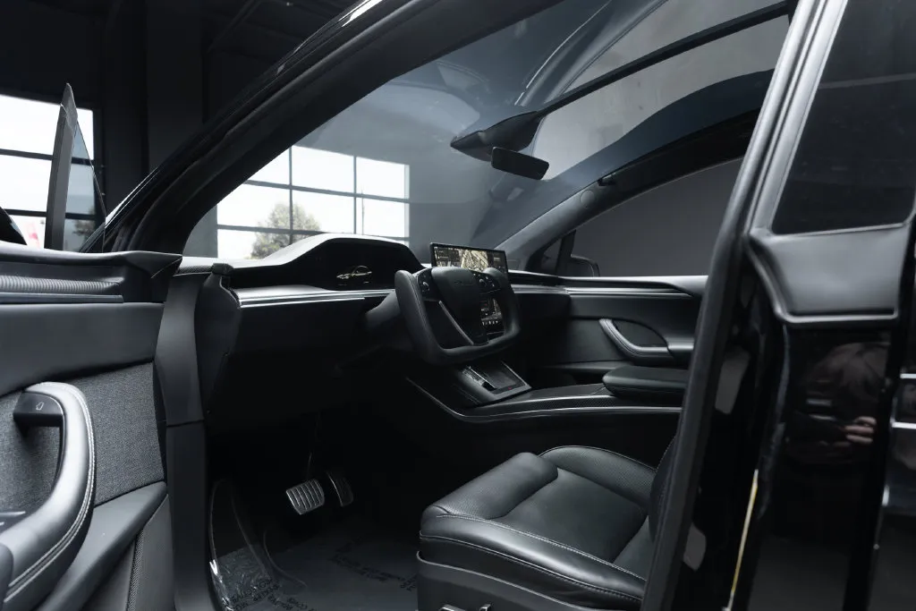 Tesla Model X photo 18