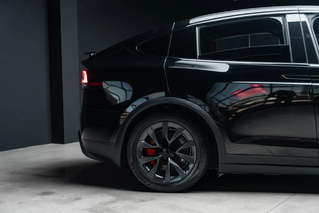 Tesla Model X photo 8