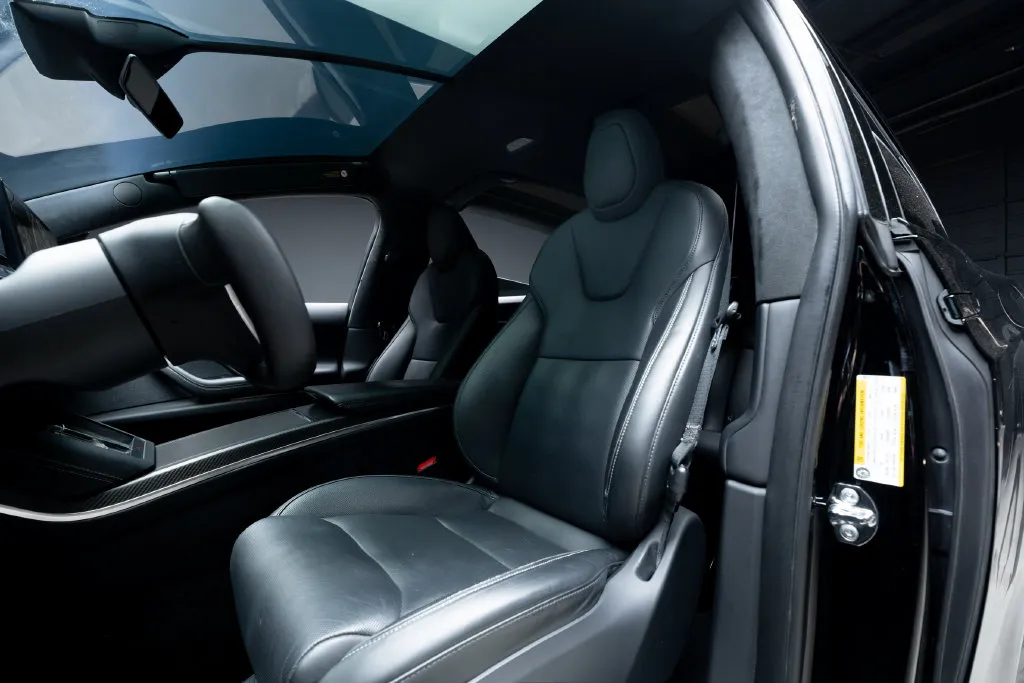 Tesla Model X photo 21