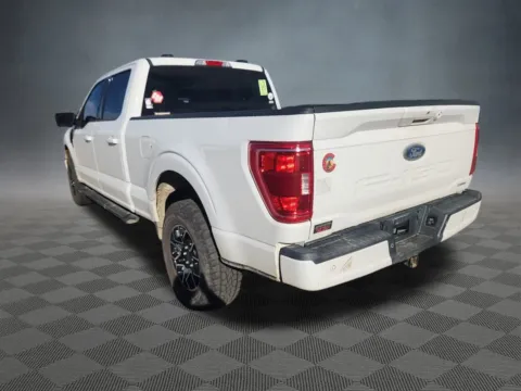 More photos of 2021 Ford F-150 XLT at McCloskey Truck Town (Licensed as McCloskey Motors Inc.), CO