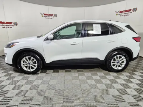 More photos of 2021 Ford Escape Hybrid SE at McCloskey Truck Town (Licensed as McCloskey Motors Inc.), CO