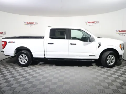 Another view of 2021 Ford F-150 XL for sale in Colorado Springs, CO at McCloskey Truck Town (Licensed as McCloskey Motors Inc.)