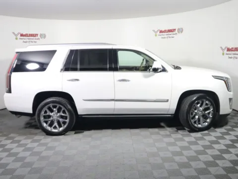 Another view of 2016 Cadillac Escalade Platinum Edition for sale in Colorado Springs, CO at McCloskey Truck Town (Licensed as McCloskey Motors Inc.)