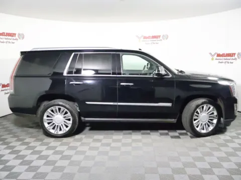 Another view of 2016 Cadillac Escalade Platinum Edition for sale in Colorado Springs, CO at McCloskey Truck Town (Licensed as McCloskey Motors Inc.)