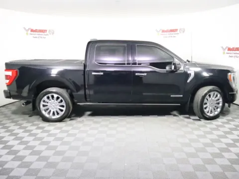 More photos of 2023 Ford F-150 Limited at McCloskey Truck Town (Licensed as McCloskey Motors Inc.), CO