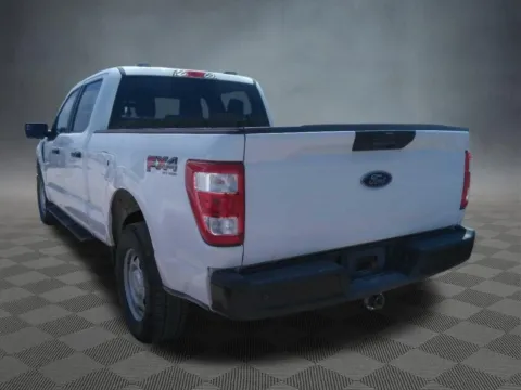 More photos of 2021 Ford F-150 XL at McCloskey Truck Town (Licensed as McCloskey Motors Inc.), CO