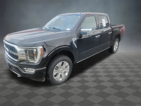 Another view of 2021 Ford F-150 Platinum for sale in Colorado Springs, CO at McCloskey Truck Town (Licensed as McCloskey Motors Inc.)