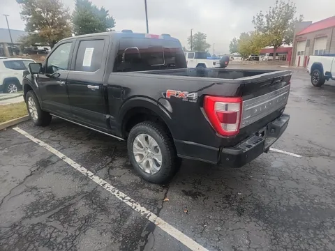 More photos of 2021 Ford F-150 Platinum at McCloskey Truck Town (Licensed as McCloskey Motors Inc.), CO