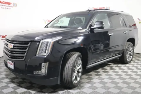 More photos of 2020 Cadillac Escalade Platinum at McCloskey Truck Town (Licensed as McCloskey Motors Inc.), CO