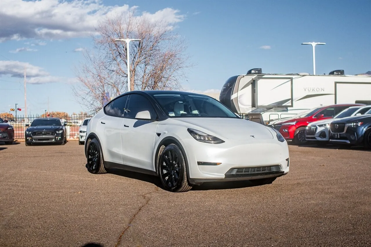 2020 Tesla Model Y Long Range's photo