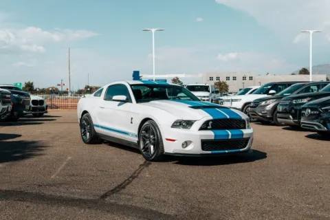 White 2011 Ford Mustang Shelby GT500 for sale in Albuquerque, NM
