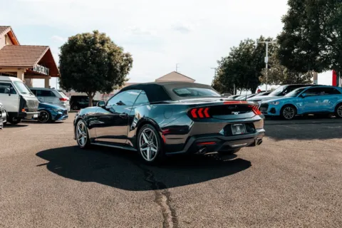 More photos of 2024 Ford Mustang EcoBoost at Integrity Automotive, NM