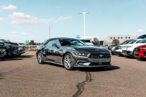 Gray 2024 Ford Mustang EcoBoost for sale in Albuquerque, NM