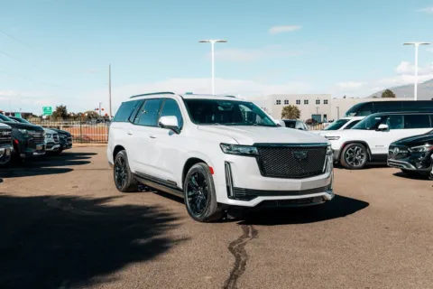 White 2023 Cadillac Escalade Sport Platinum for sale in Albuquerque, NM