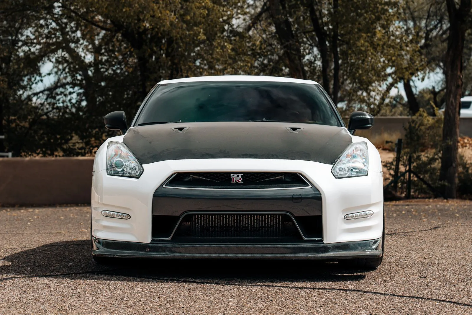 Nissan GT-R photo 2