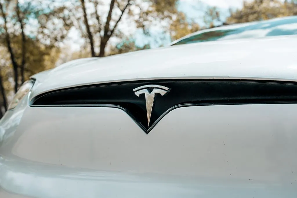 Tesla Model X photo 10
