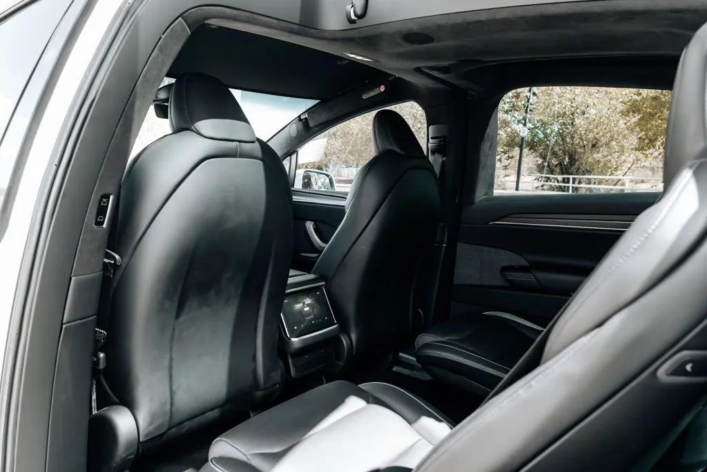 Tesla Model X photo 33