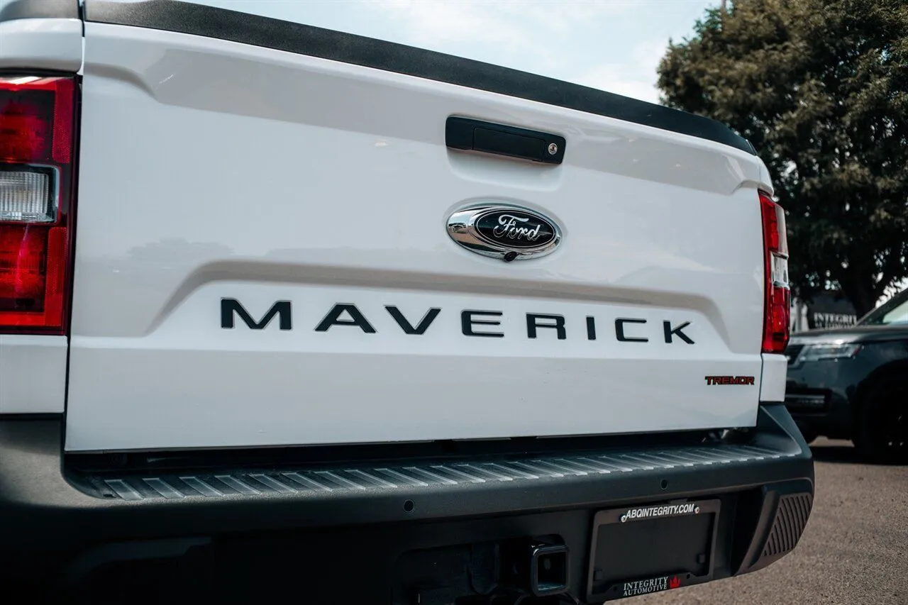 Ford Maverick photo 15