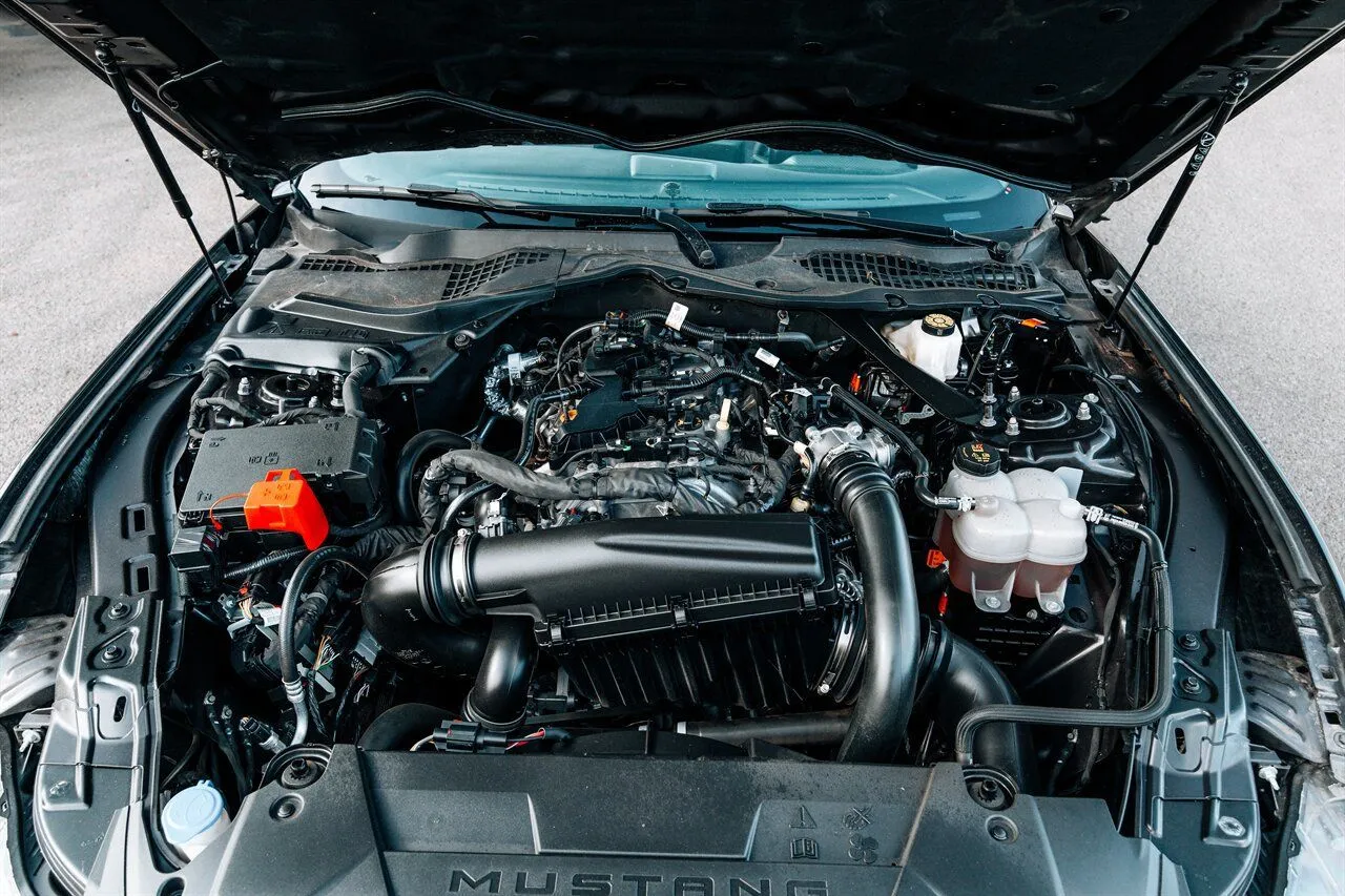 Ford Mustang photo 52