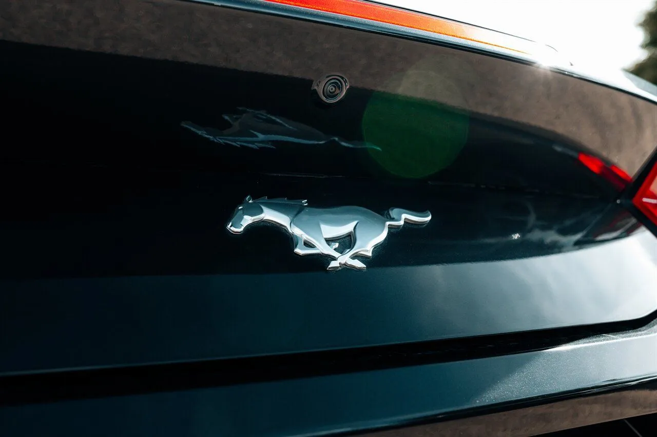 Ford Mustang photo 14