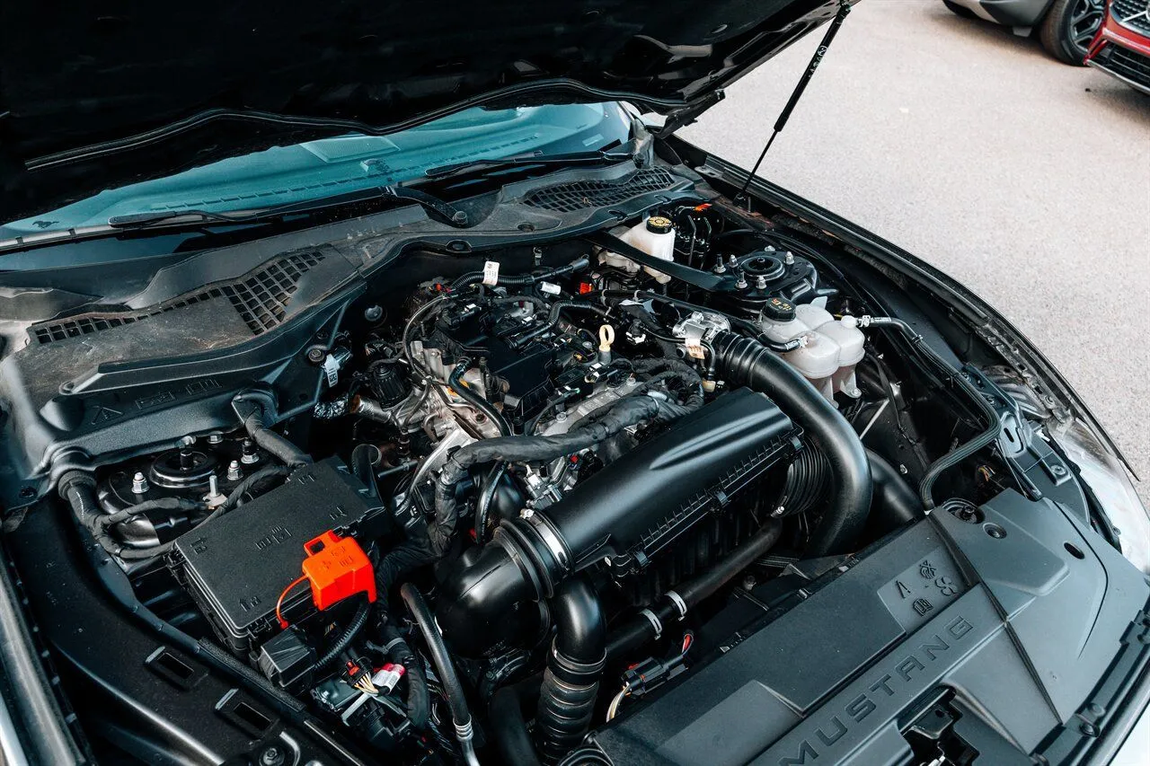 Ford Mustang photo 53