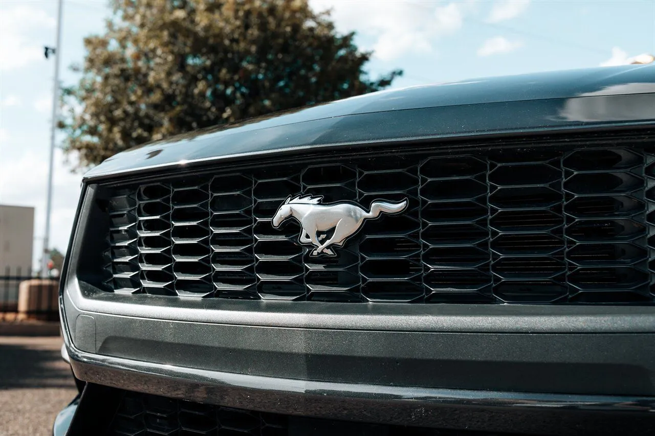 Ford Mustang photo 10