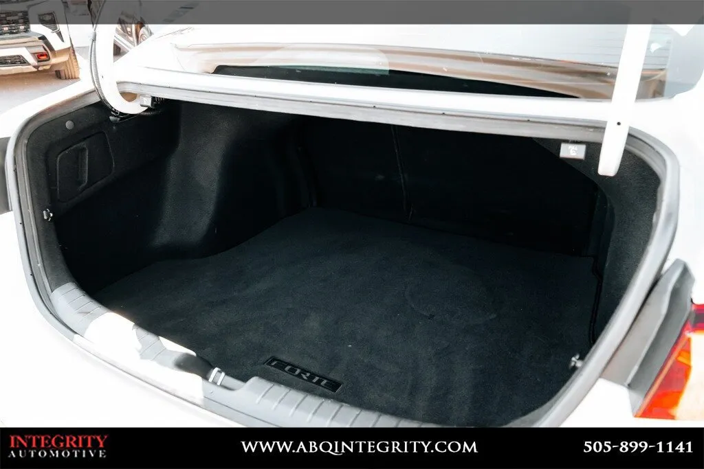 Kia Forte photo 41